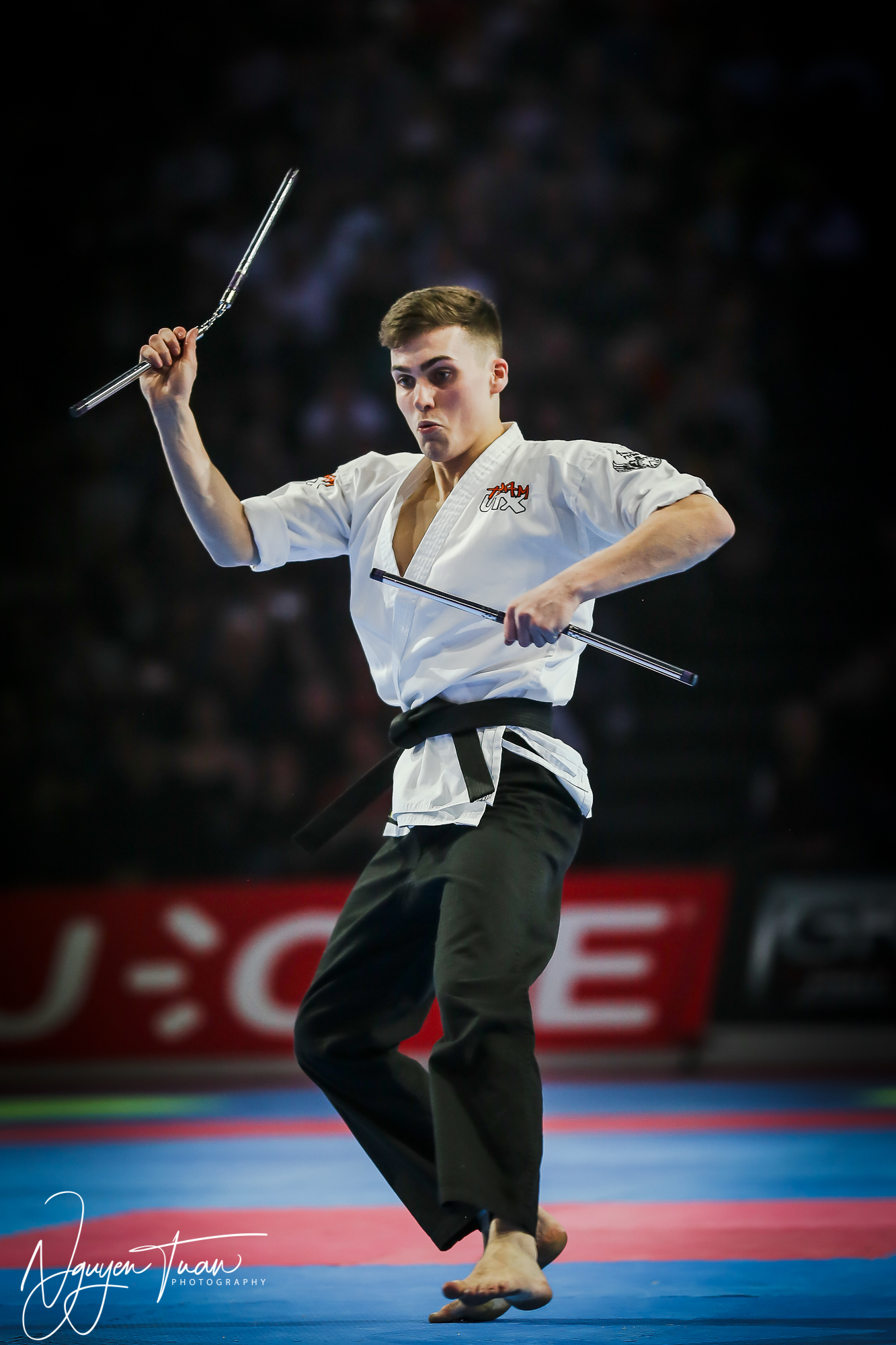 20190324 Festival des Arts Martiaux 4698